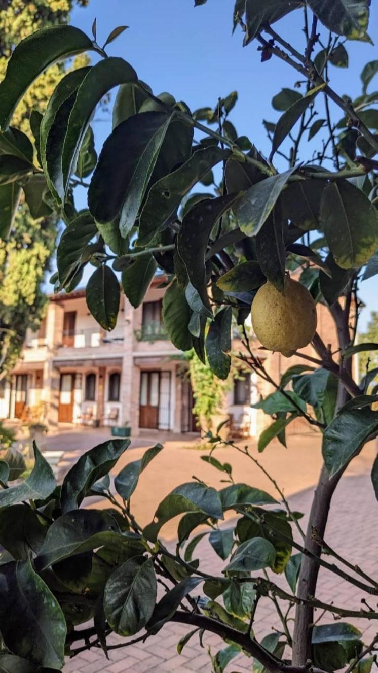 Вілла Il Ghiandolino Імола Екстер'єр фото